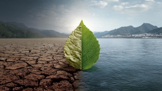 Identifikace a řízení environmentálních rizik. Od ekologie až po příležitosti